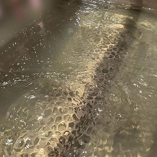 洗浄機槽内